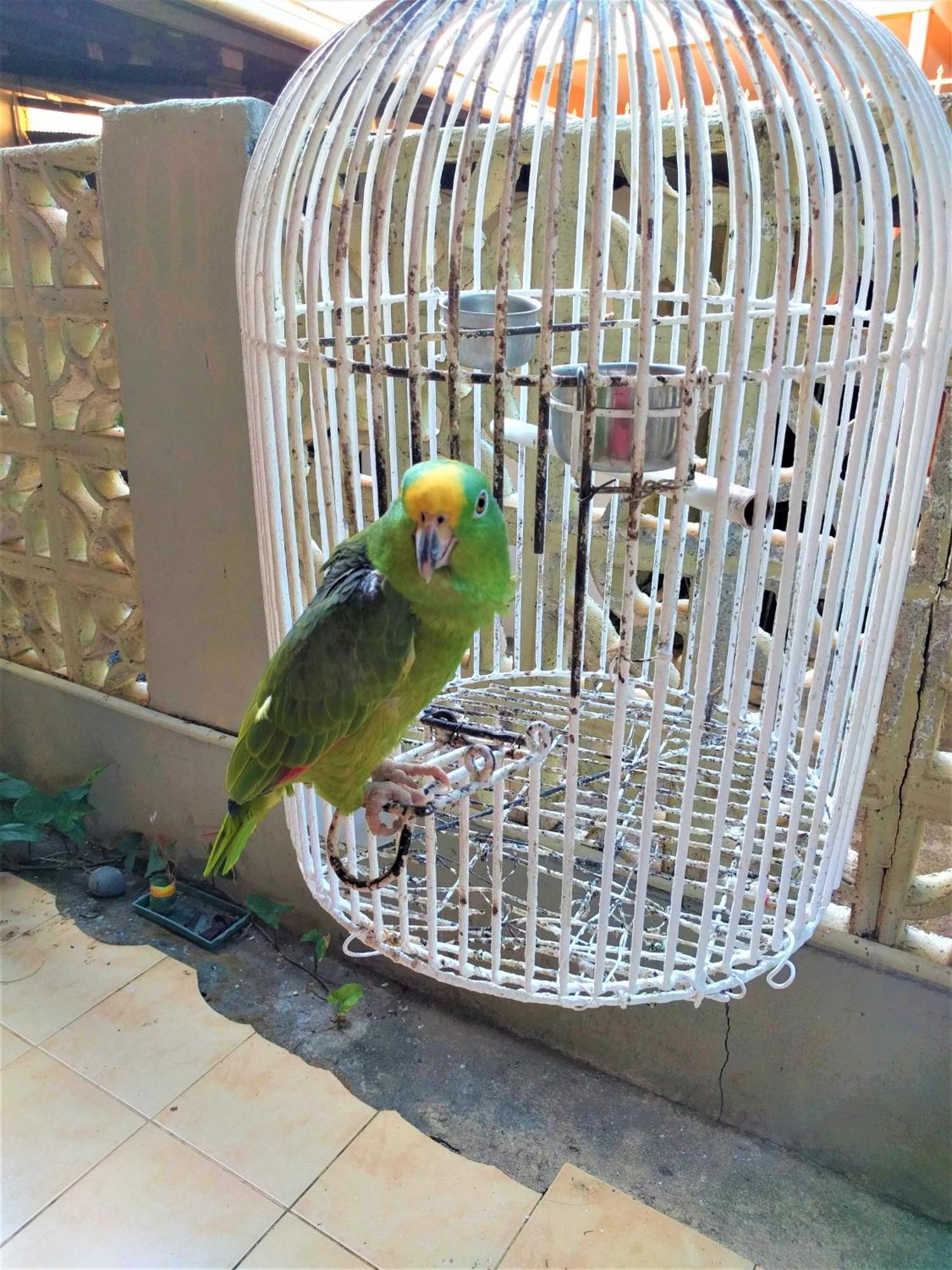 Hostal Dona Maria Pedasi Town ภายนอก รูปภาพ