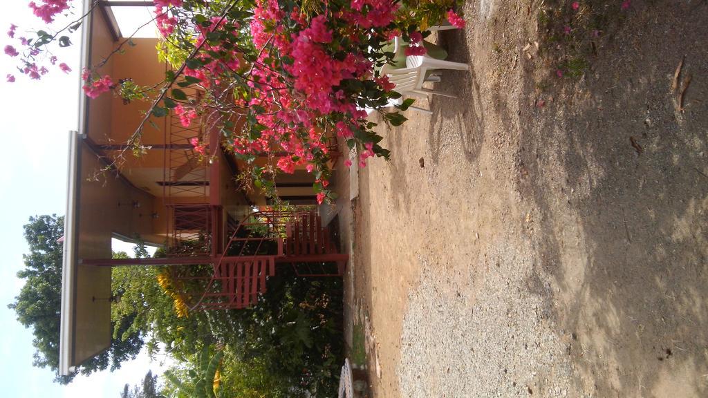 Hostal Dona Maria Pedasi Town ภายนอก รูปภาพ
